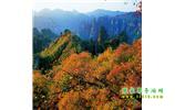 長沙往返張家界、天子山、寶峰湖/黃龍洞三日游
